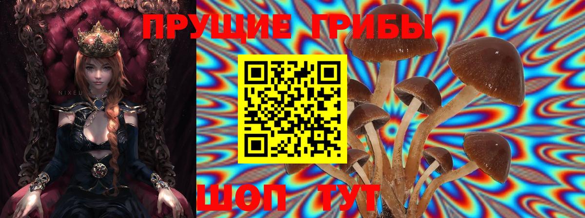 Можга  Галлюциногенные грибы MAGIC MUSHROOMS  Вход с VPN  Галлюциногенные грибы ЛСД 