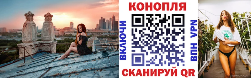 Бошки Шишки VHQ  Можга 